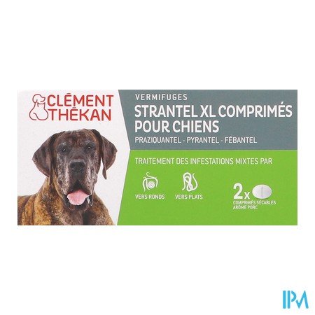 vignette CL TK STRANTEL CHIEN XL CPR 2