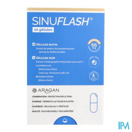 vignette ARAGAN SINUFLASH GELUL 10