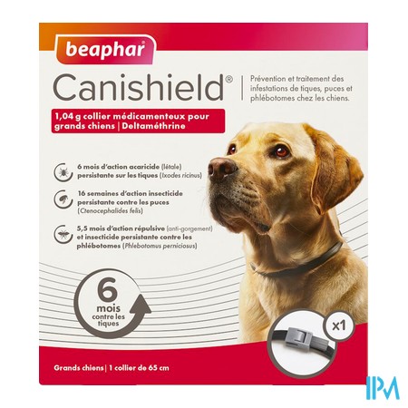 vignette BEAPHAR COLLIER GRANDS CHIENS X1