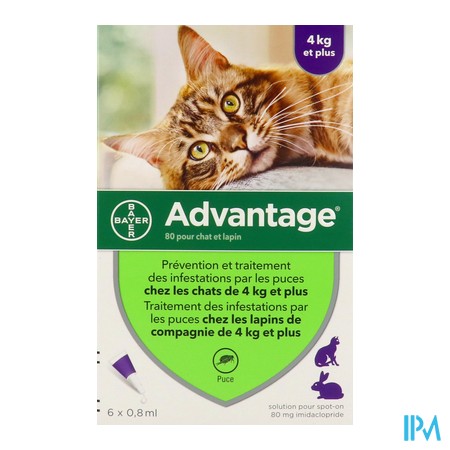 vignette ADVANTAGE-80 CHAT/LAPIN PIPET 6