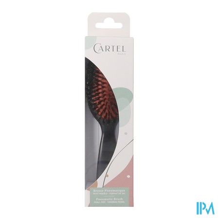 vignette VITRY BROSSE PNEUM SANGLIER SAC