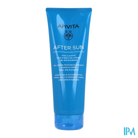 vignette APIVITA AFTER SUN GEL CR 200ML