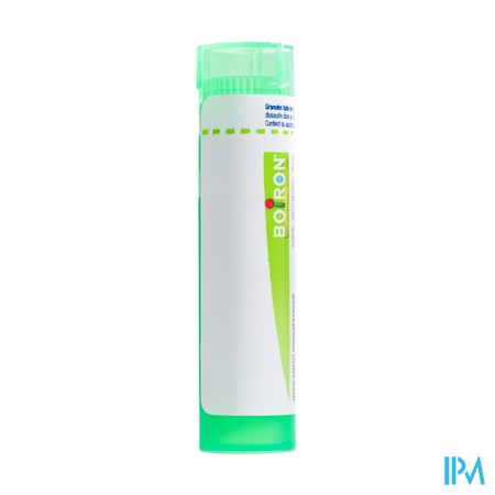 produit PYROGENIUM 5CH TG BOI