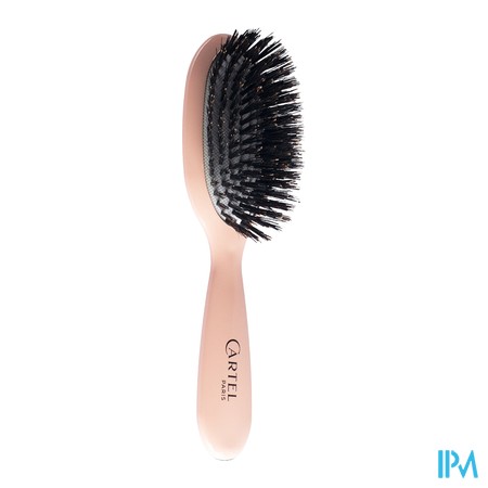 vignette VITRY PETITE BROSSE BRILLANCE ROSE