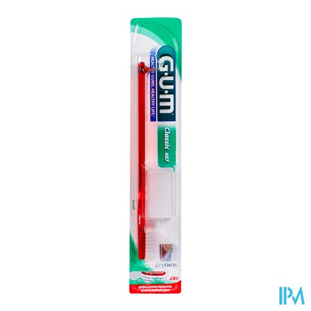 vignette BDEN GUM CLASSIC AD PTE TETE 407