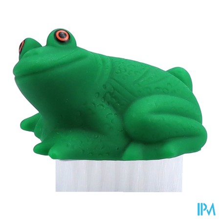 vignette VITRY BROSSE ONGL ANIMAUX MOD ASS