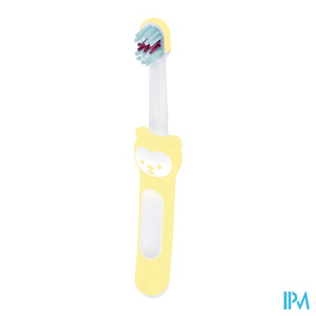 vignette BDEN MAM 1ER BROSSE