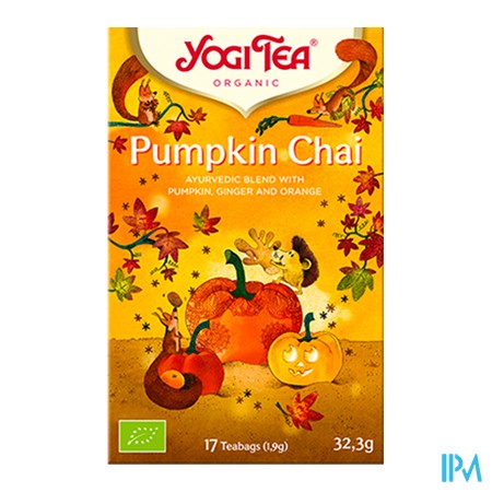 vignette YOGI TEA PUMPKIN CHAI SACH17