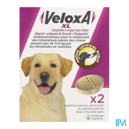 produit VELOXA XL CN CHIEN CPR A CROQ 2