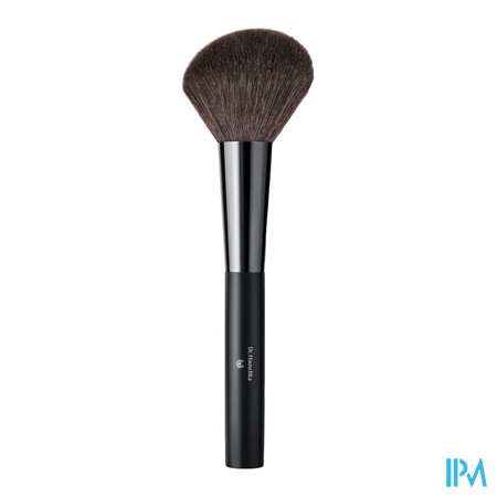 vignette DR.HAUSCHKA PINCEAU POUDRE