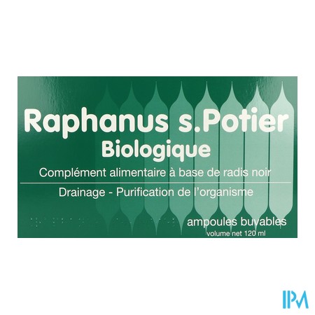 vignette RAPHANUS-S POTIER BIO AMP BUV12