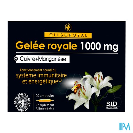 vignette SIDN OLIGOROY GR MN CU  AMP20