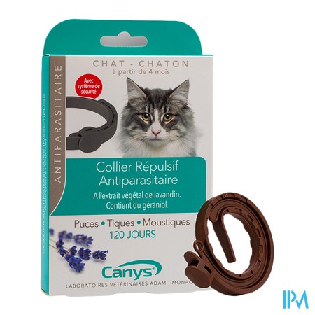 vignette CANYS COLL INS CHAT CHATON 35CM