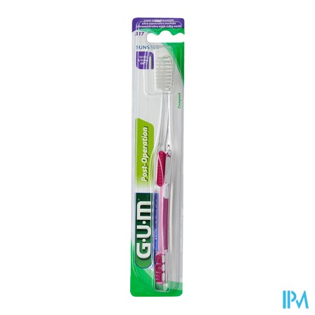 vignette BDEN GUM DELICATE 317