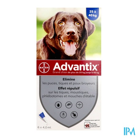 vignette ADVANTIX GRAND CHIEN PIPE4ML6