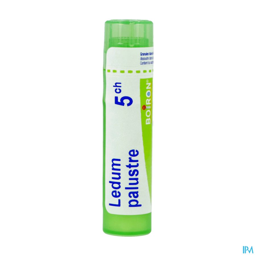 produit LEDUM PALUSTRE 5CH TG BOI
