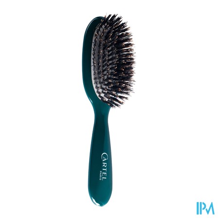 vignette VITRY PETITE BROSSE BRILLANCE VERTE