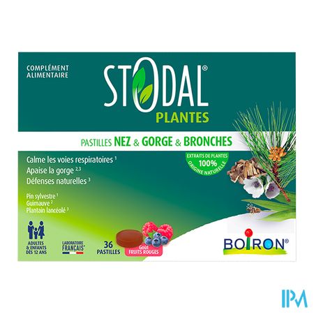 vignette STODAL PLANTES FR RGES PASTILLES