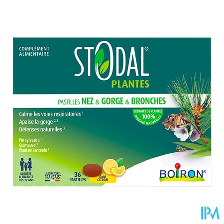 vignette STODAL PLANTES CITRON PASTILLES