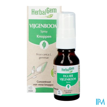 produit HERBALGEM FIGUIER BG BIO 15ML