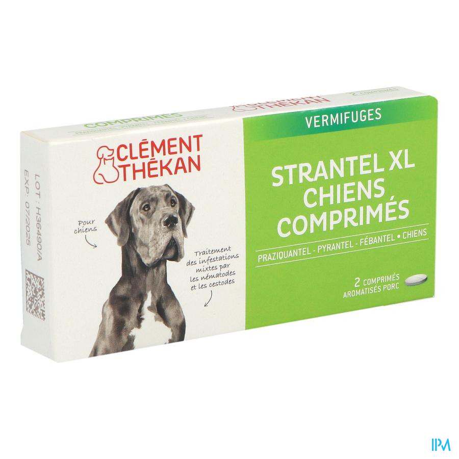 vignette CLEM/THEK STRANTEL CHIEN XL CPR 2