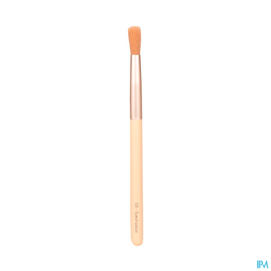 vignette CHARLOTTE BIO PINCEAU 3 FAP