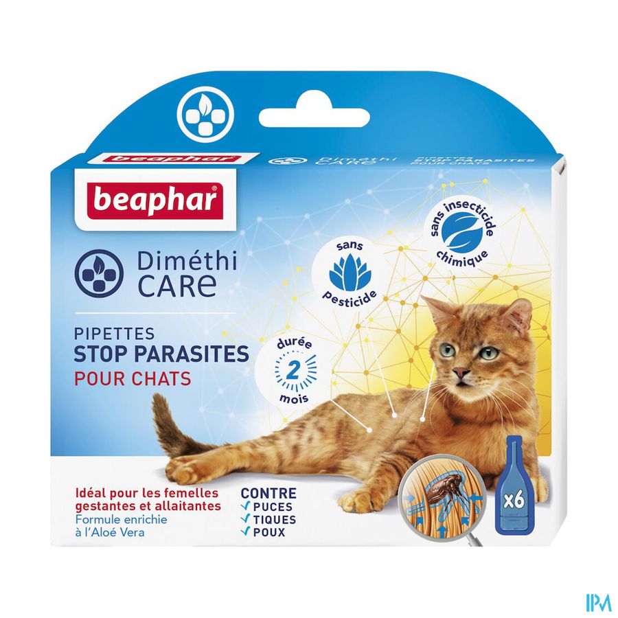 vignette DIMETHICARE CHAT PLAQ/6