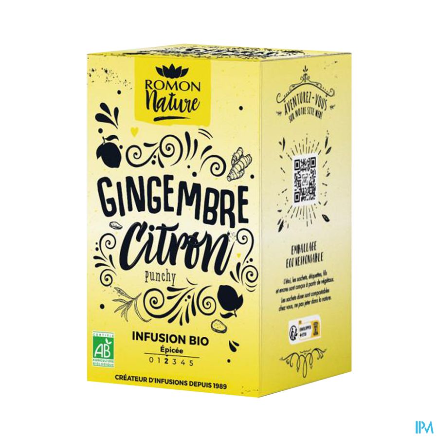 produit ARAQUELLE INFUSION GINGEMB CITR BIO 28.8G