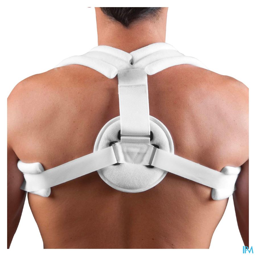 vignette Orliman Anneau Claviculaire T4