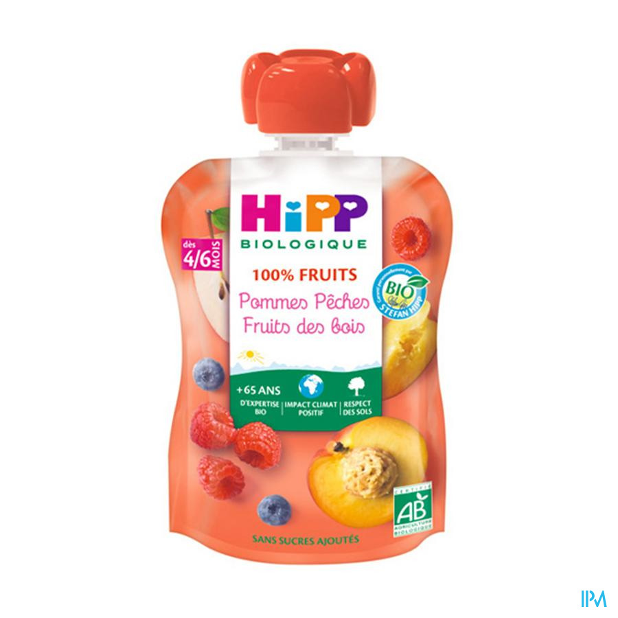 vignette Hipp Gourdes 100% Fruits Pomme Peche Fruits Des Bois Bio Gourde 90g