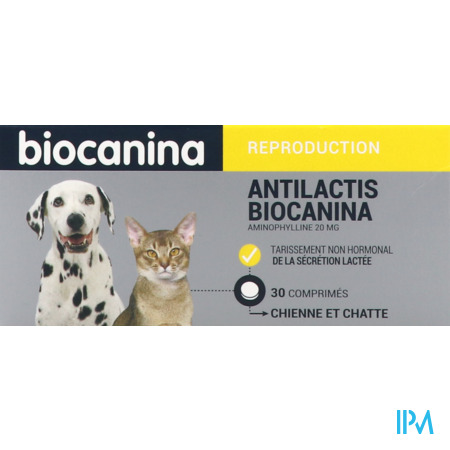 produit Antilactis Comprime 30