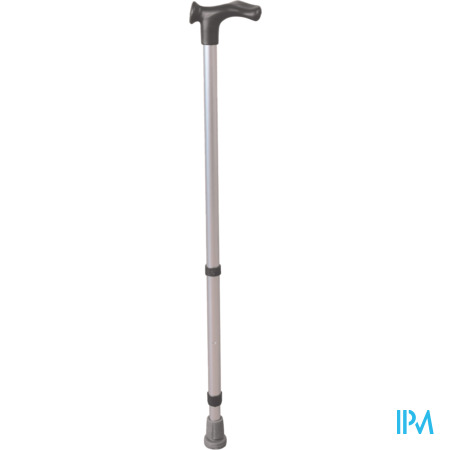 produit HERDEGEN CANNE MAG ANATOM DRT