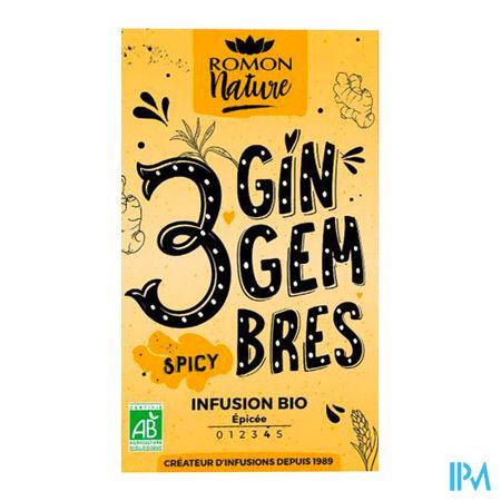 vignette Romon Nature Tisane Plaisir 3 Gingembres Bio Infusette 1g8 16