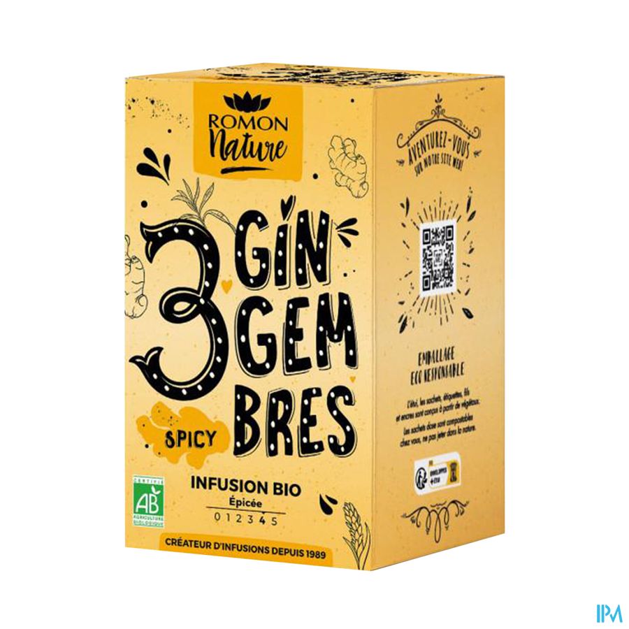 produit ARAQUELLE INFUSION 3 GINGEMBRES BIO 28,8G