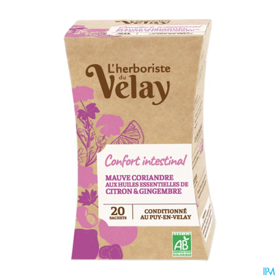 produit PAGES INFUSION BIO INTESTINAL 20 SACHETS