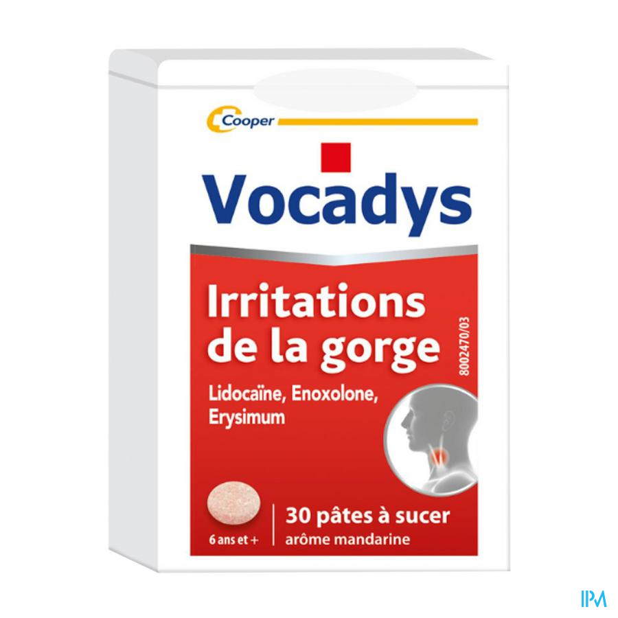 vignette VOCADYS PATE 30