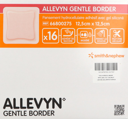 vignette ALLEVYN GENT BOR 12,5X12,5 16