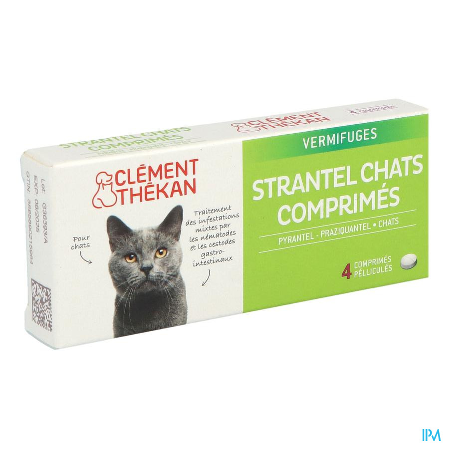 vignette CLEM/THEK STRANTEL CHAT CPR 4