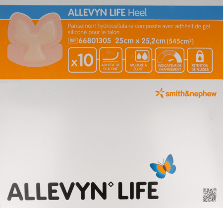vignette ALLEVYN LIFE H PANS25X25,2CM10