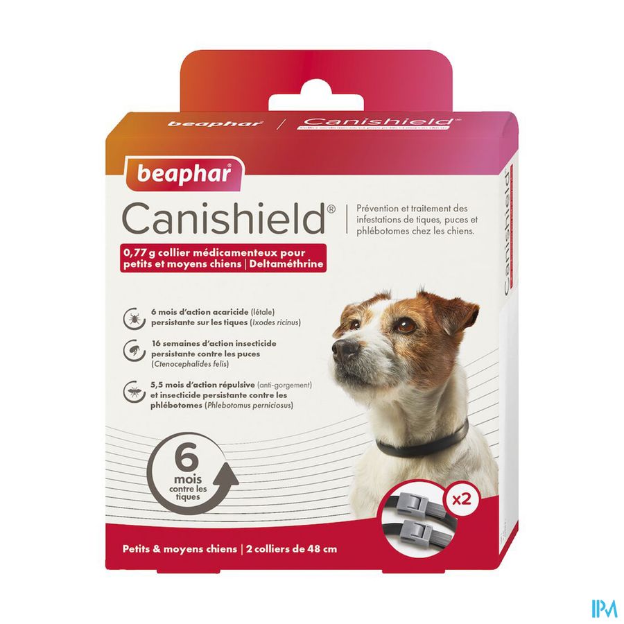 vignette BEAPHAR COLLIER PETITS/MOYENS CHIENS X2