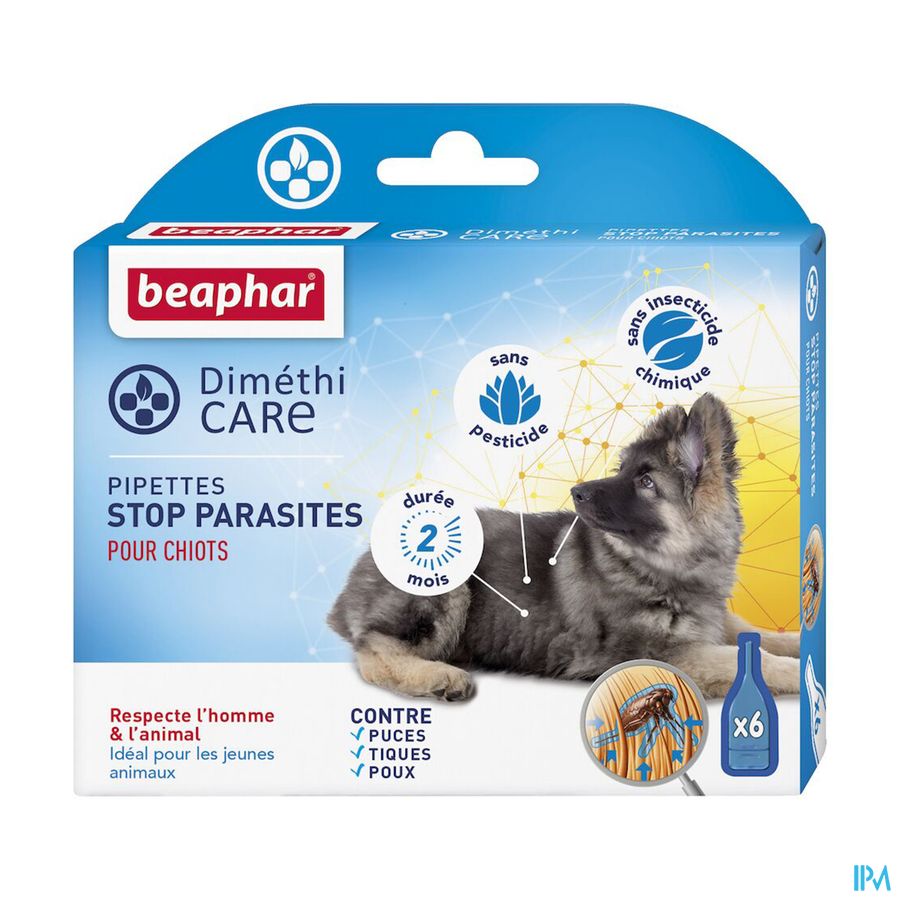vignette DIMETHICARE CHIOT PIP1,5ML 6