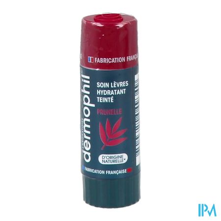 produit Dermophil Indien Stick Levres Soin Teinte Prunelle 4g
