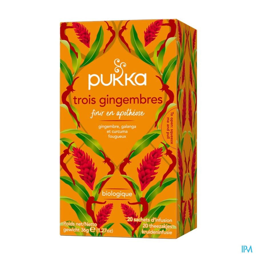 vignette Pukka Infusion 3 Gingembres Bio Sachet 20