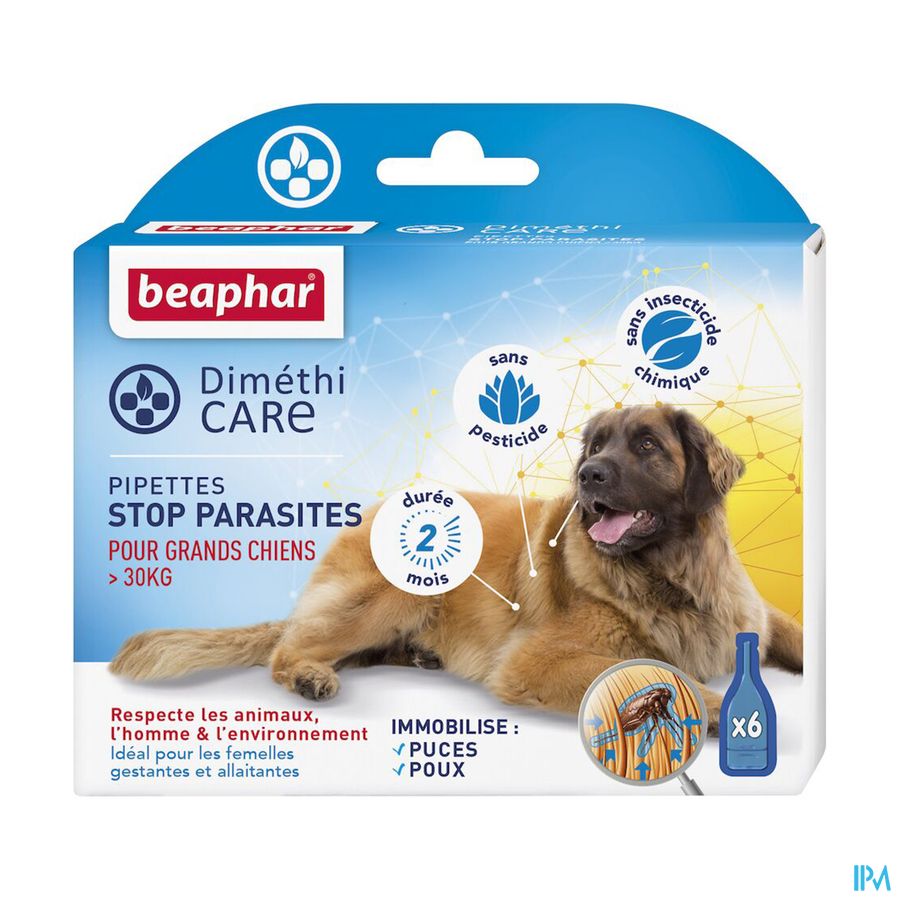 vignette DIMETHICARE CHIENS L (>30 KG) PLAQ/6