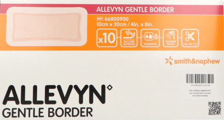 vignette ALLEVYN GENT BOR 10X20CM 10