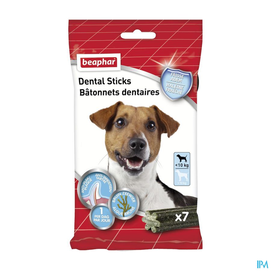 produit BEAPHAR BAT DENT PETITS CHIENS <10KG 7