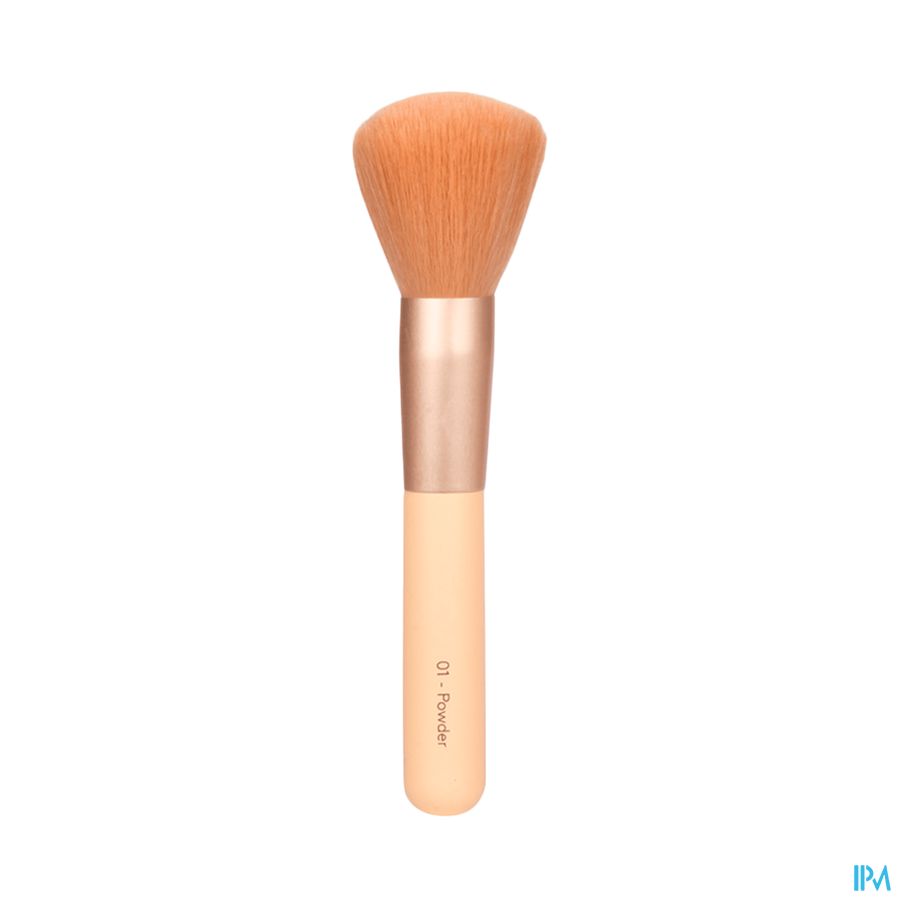 vignette CHARLOTTE BIO PINCEAU 1 POUDRE