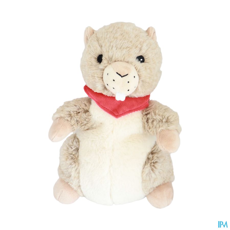 produit SOFRAMAR COZY PELUCH MARMOTTE
