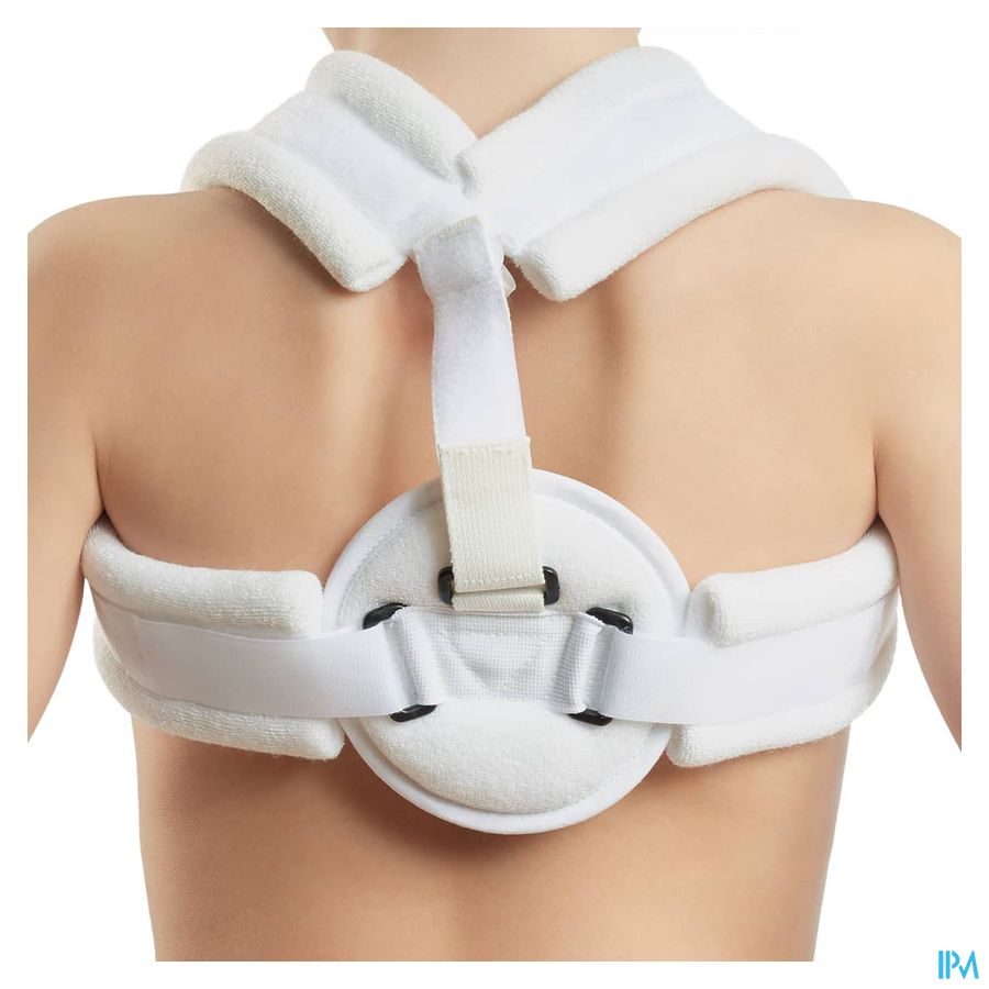 vignette Orliman Anneau Claviculaire T2 / Enfant
