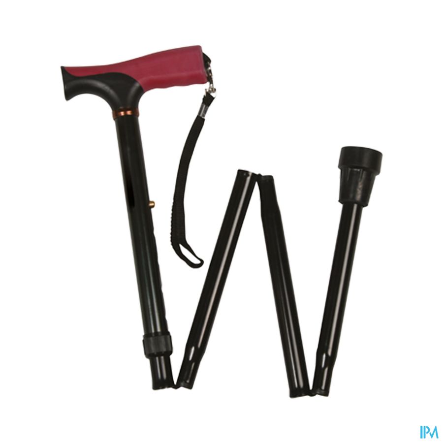 produit CANNE T PHI PLIANT ETUI 250280